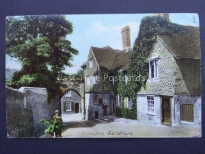 GUILDFORD Castle Arch Gardner & Wheelbarrow & Ferns c1905 Old Postcard by Frith