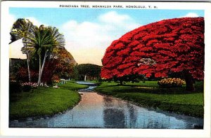 Postcard NATURE SCENE Honolulu Hawaii HI AO9918