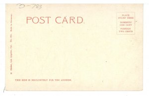 A California Chrysanthemum Garden