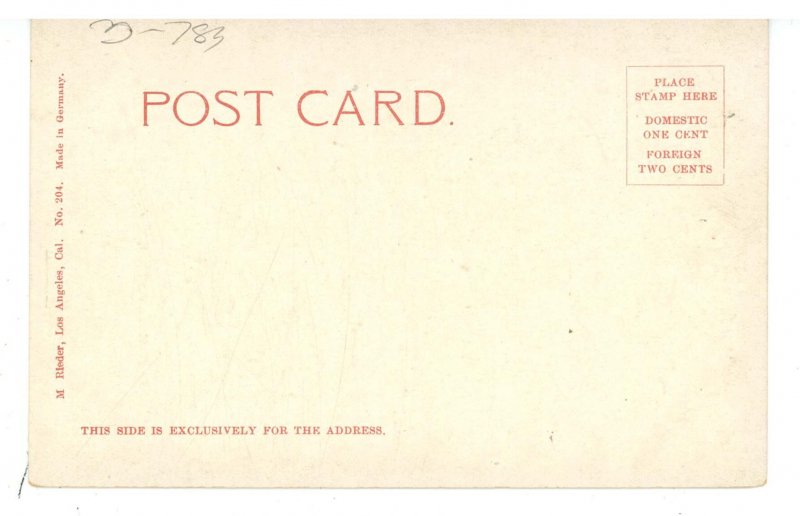 A California Chrysanthemum Garden