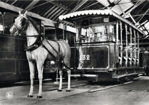 VINTAGE CONTINENTAL SIZED POSTCARD REAL PHOTO TRAMWAY MUSEUM SCHEPDAAL BELGIUM