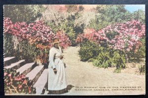 Mint Color Picture Postcard Black Americana Old Mammy One Of The Keeper