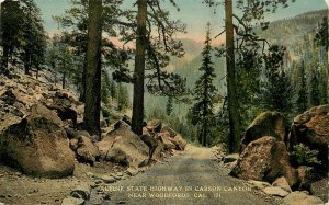 Vintage Postcard; Alpine State Highway in Carson Canyon Woodfords CA 171 Ed Hess