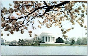 Postcard - Jefferson Memorial & Cherry Blossoms, Washington, D. C.