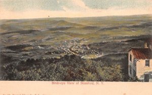 Bird's Eye View in Stamford, New York