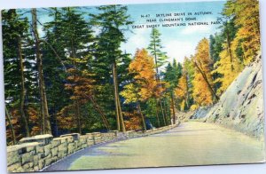 postcard TN Great Smoky Mountains - Skyline drive in Autumn near Clingman's Dome