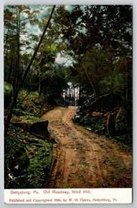 Gettysburg PA 1906 Old Roadway Wolf Hill Udb Civil War Tipton Postcard R24