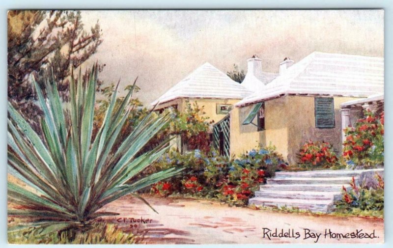 WARWICK, BERMUDA  Artist Signed C.F. Tucker RIDDELLS BAY HOMESTEAD  Postcard 