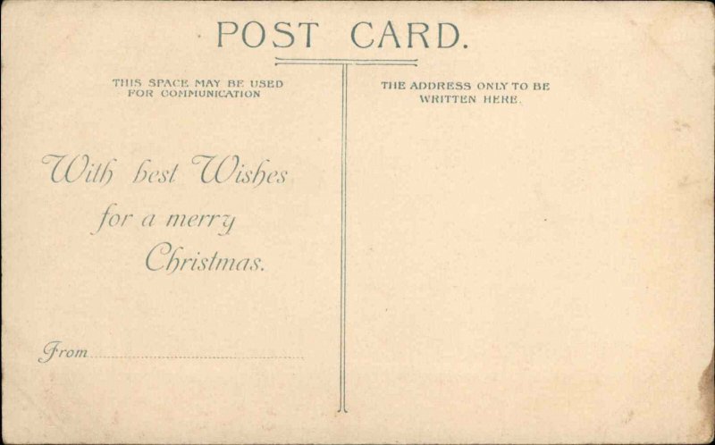 Christmas Boy with Axe House Water Snow c1900s-20s Postcard