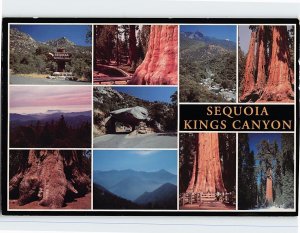 Postcard Sequoia And Kings Canyon National Parks, California 