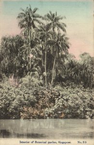 PC CPA SINGAPORE, INTERIOR OF BOTANICAL GARDEN, VINTAGE POSTCARD (b12001)