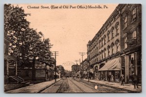 1910  Chestnut Street  Salvation Army  Meadville  Pennsylvania Postcard