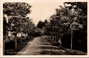 Netherlands Borculo Dr. Scheylaan Vintage RPPC C022