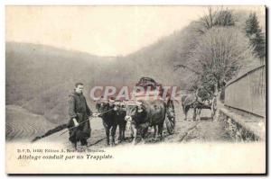 Oxen - Hitch led by a Trappist - beautiful card - cows - Old Postcard