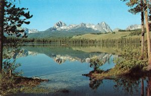 Postcard Little Red Fish Lake Idaho 