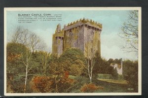 Ireland Postcard - Blarney Castle, Cork    T9272