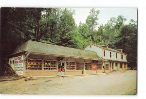 Hot Springs National Park Arkansas AR Vintage Postcard Ar-Scenic Spring Gifts