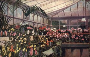 BATAVIA NY LC Stroh & Sons FEB 1915 CALENDAR Flower Shop Greenhouse Postcard