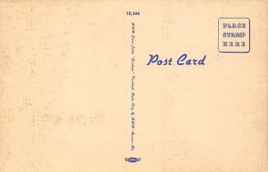 Fruit Bowl Miami Beach FL Postcard