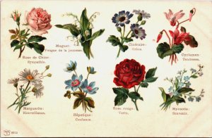 Langage des Fleurs Language of Flowers Vintage Postcard C068