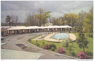 Flowers, Swimming Pool, Exterior View of The Carolinian Motel, Market Street,...