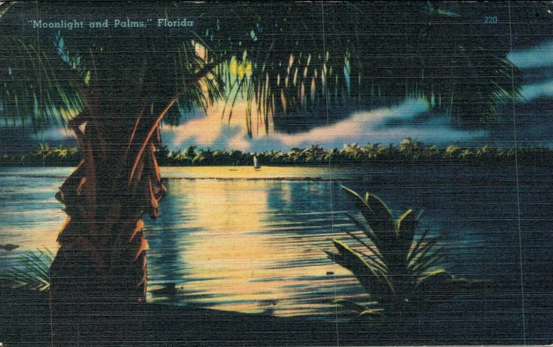 USA Moonlight and Palms Florida Linen Postcard 07.88 