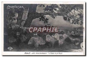Old Postcard Edmond Rostand Chantecler night L & # 39ode a night owl Owl