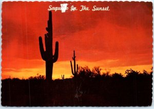 Postcard - Saguaro In The Sunset - Arizona