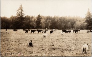 Sandspit BC Moresby Island Haida Gwaii British Columbia Child Cows Postcard H8