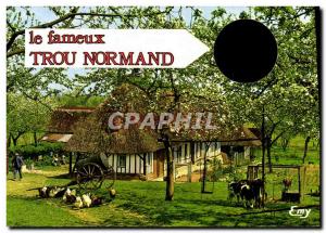 Modern Postcard The Famous Trou Normand Normandy Cow