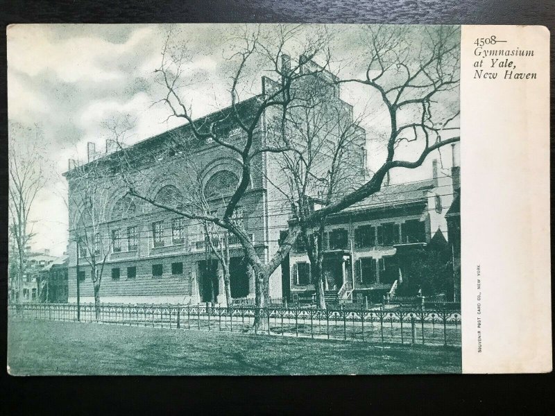 Vintage Postcard 1901-1907 Gymnasium, Yale U., New Haven, Connecticut (CT)