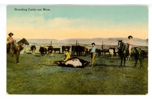 Ranching in the West - Branding Cattle