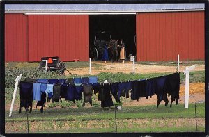 An Amish Clothes Dryer - Amish Country, Wisconsin WI