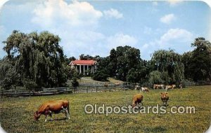 Virginia Farm Shenandoah Valley, Virginia, USA Cow Unused 