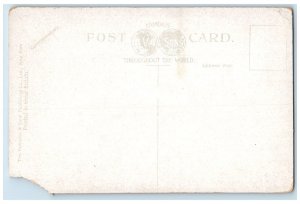c1910's The Rookery John D Rockefeller Estate Tarrytown New York NY Postcard 