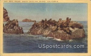 Seal Rocks - Santa Catalina Island, CA