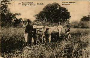 PC CPA BELGIAN CONGO, KITOBOLA, FAUCHEUSE MÉCANIQUE, VINTAGE POSTCARD (b12608)