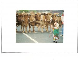 Girl with the cows Nice modern card