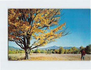 Postcard Mt. Chocorua, White Mountains, New Hampshire