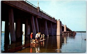 M-61810 Boys trying their luck from a catwalk US Highway 50 Bridge Ocean City MD