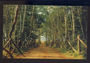 Charlottetown, Prince Edward Island-PEI, Canada Postcard, Centennial Drive