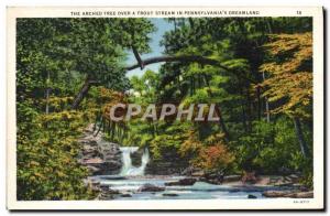 Postcard The Old Arched Tree Over A Trout Stream In Pennsylvania & # 39s Drea...