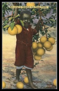 ABRO US  Black Child Selling Forida Grapefruit