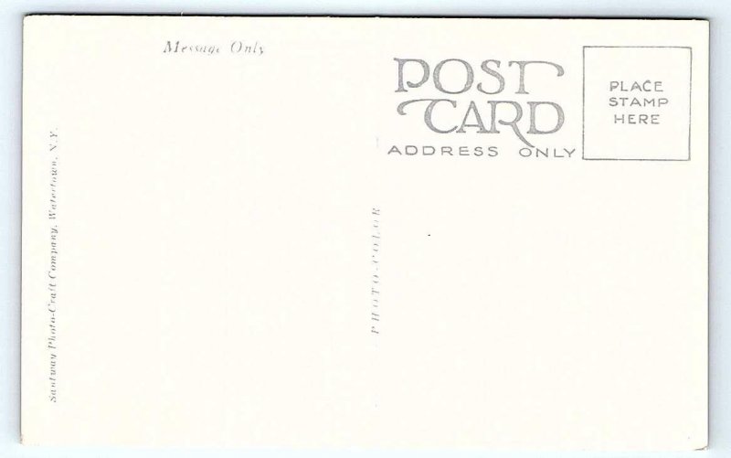 SYLAGAUGA, AL Alabama ~ HIGH SCHOOL c1940s Talladega County  Postcard