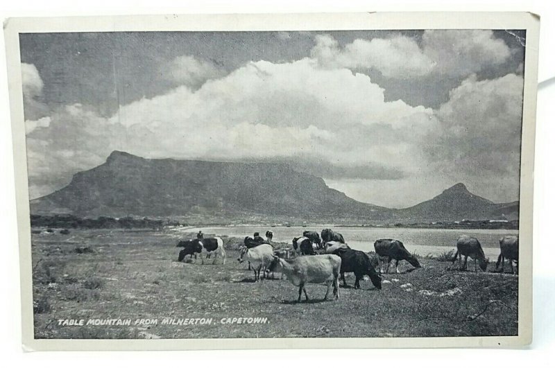 Table Mountain from Milnerton Capetown South Africa Vintage Postcard