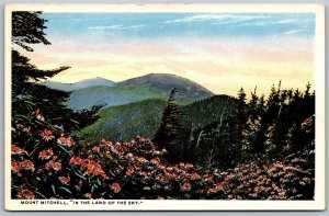 Vtg North Carolina NC Mount Mitchell in Land of the Sky 1910s View Old Postcard