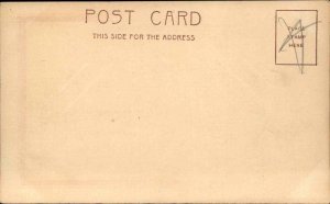 Teddy Roosevelt US President Puzzle Novelty Lenticular c1906 Postcard