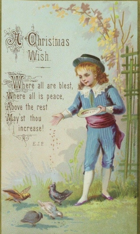 1880's Victorian Christmas Card Poem Fancy Boy Feeding Birds P105