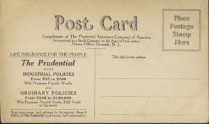 Driveway Delaware Water Gap Prudential Insurance Co Vintage Postcard