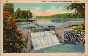 Moose Lake and Dam Mooseheart near Aurora IL Postcard PC253